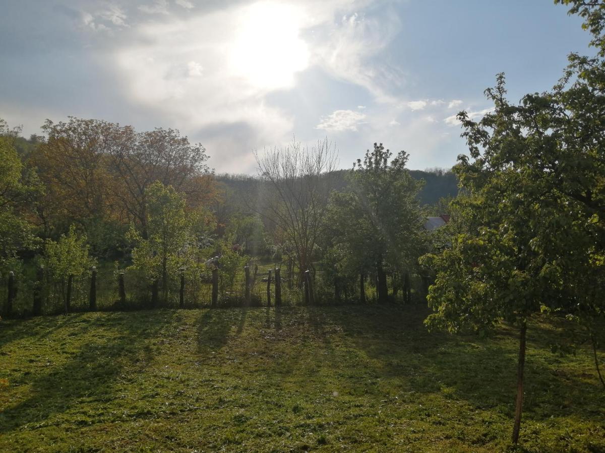 Borlova /Muntele Mic Exterior foto