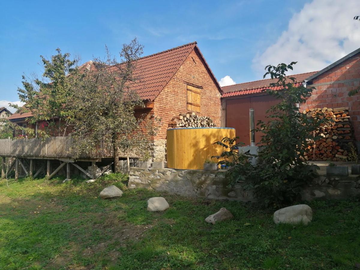 Borlova /Muntele Mic Exterior foto