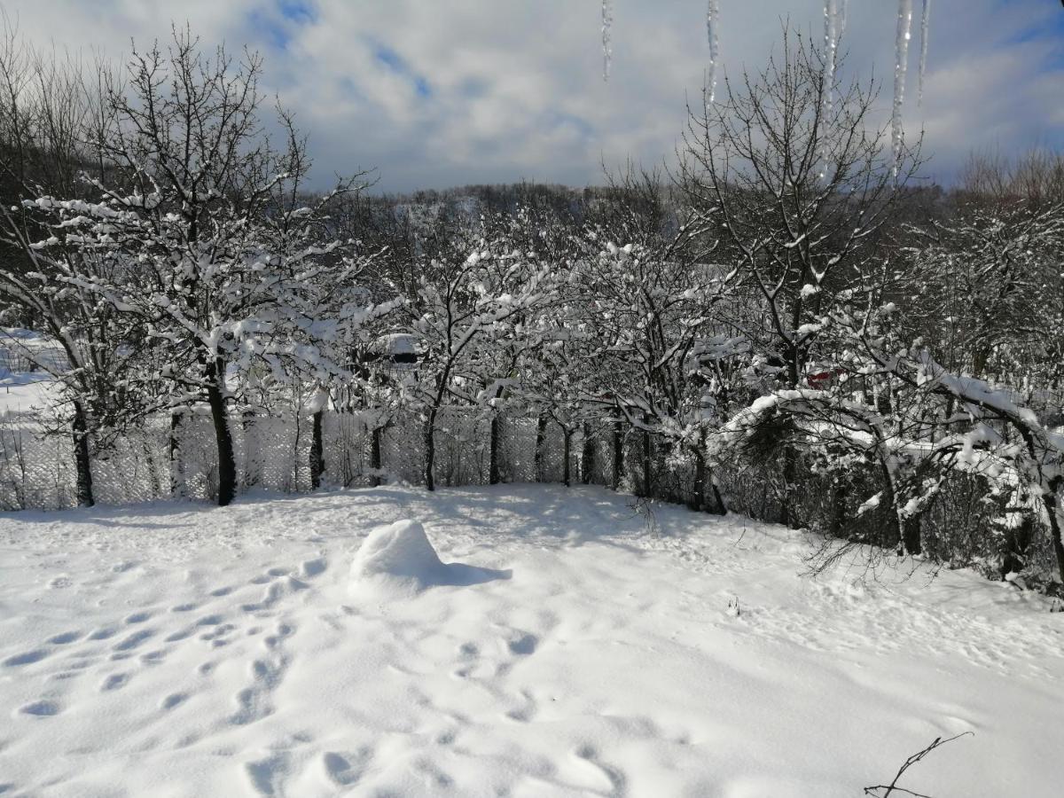 Borlova /Muntele Mic Exterior foto